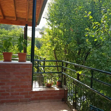 Kyma Hostel *
